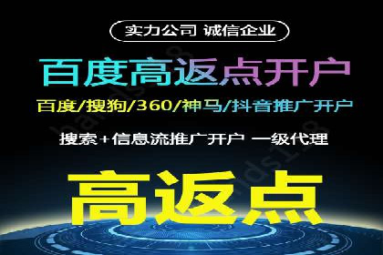 百度推广实战攻略：案例与策略
